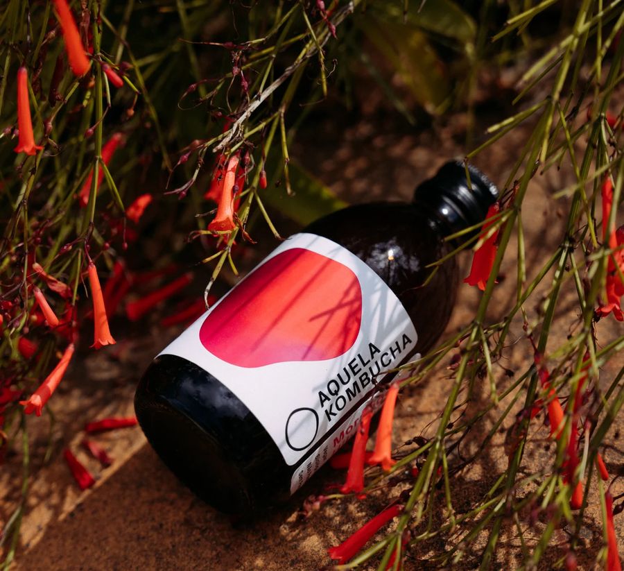 Garrafa Aquela Kombucha Morango entre plantas de flores vermelhas